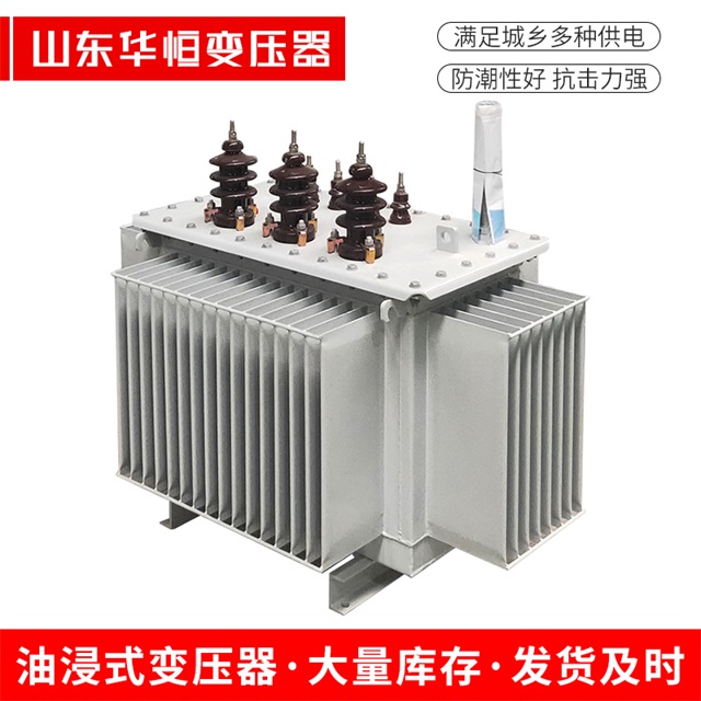 S11-10000/35理塘理塘理塘电力变压器价格